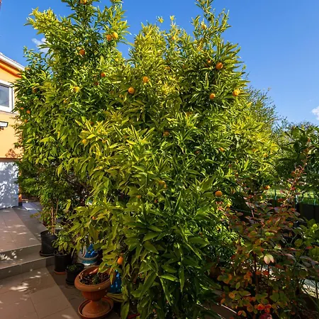 Apartament Martina *